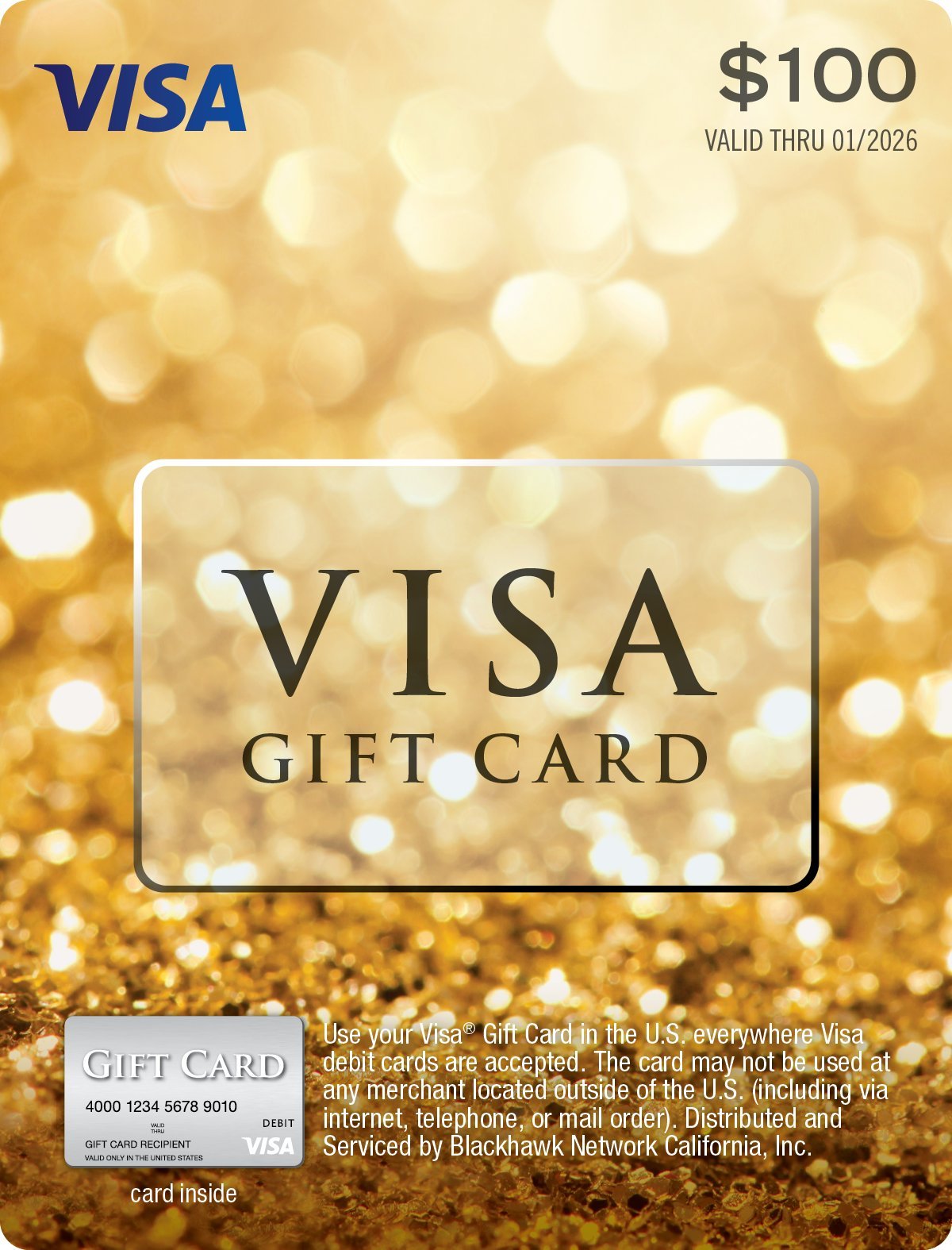 Your Business Solutions $100 VISA Gift Card